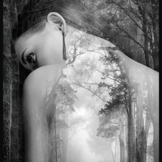 obraz metalicart grafika