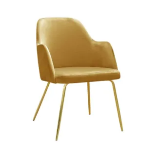 krzesło nogi złote