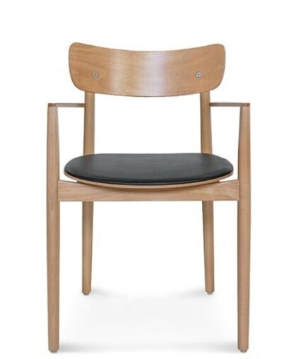 krzesło nopp z podłokietnikami